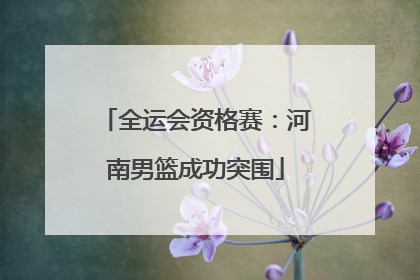 全运会资格赛：河南男篮成功突围