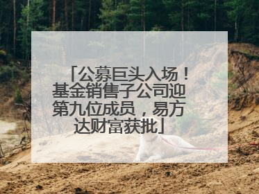 公募巨头入场！基金销售子公司迎第九位成员，易方达财富获批