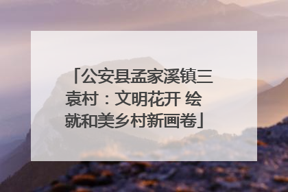 公安县孟家溪镇三袁村：文明花开 绘就和美乡村新画卷