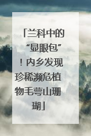 兰科中的“显眼包”！内乡发现珍稀濒危植物毛萼山珊瑚