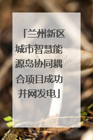 兰州新区城市智慧能源岛协同耦合项目成功并网发电