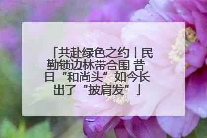 共赴绿色之约丨民勤锁边林带合围 昔日“和尚头”如今长出了“披肩发”