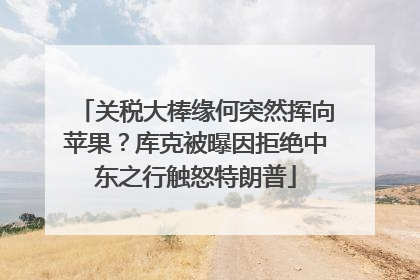 关税大棒缘何突然挥向苹果？库克被曝因拒绝中东之行触怒特朗普