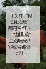 关注“MCN总裁”即可分红？“割韭菜”套路曝光！多账号被处理