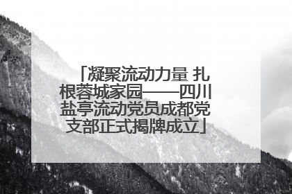 凝聚流动力量 扎根蓉城家园——四川盐亭流动党员成都党支部正式揭牌成立