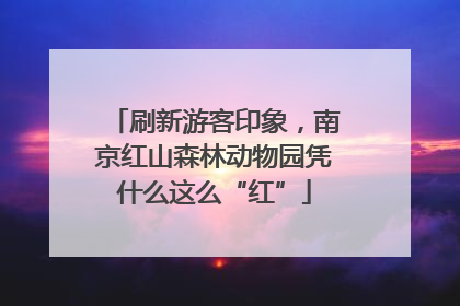刷新游客印象，南京红山森林动物园凭什么这么“红”