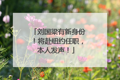 刘国梁有新身份！将赴纽约任职，本人发声！