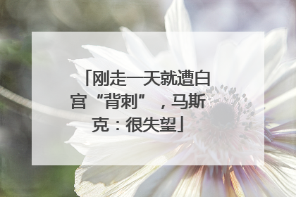 刚走一天就遭白宫“背刺”，马斯克：很失望