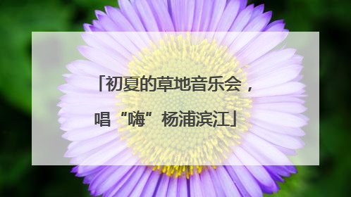 初夏的草地音乐会，唱“嗨”杨浦滨江