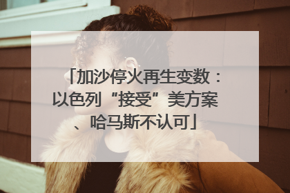加沙停火再生变数：以色列“接受”美方案、哈马斯不认可