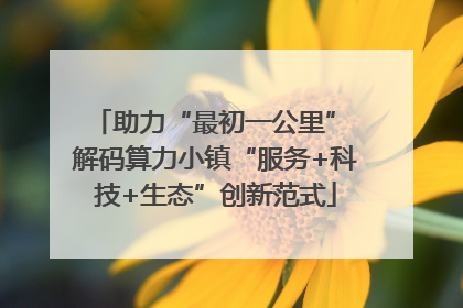 助力“最初一公里” 解码算力小镇“服务+科技+生态”创新范式