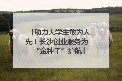 助力大学生敢为人先！长沙创业服务为“金种子”护航