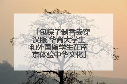 包粽子制香囊穿汉服 华裔大学生和外国留学生在南京体验中华文化