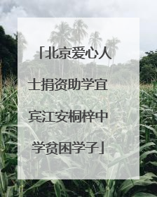 北京爱心人士捐资助学宜宾江安桐梓中学贫困学子