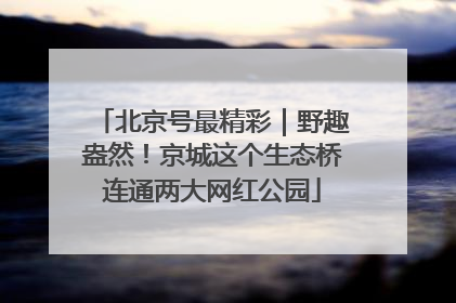 北京号最精彩｜野趣盎然！京城这个生态桥连通两大网红公园