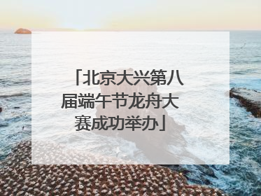北京大兴第八届端午节龙舟大赛成功举办