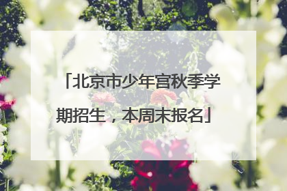 北京市少年宫秋季学期招生，本周末报名