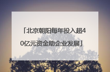 北京朝阳每年投入超40亿元资金助企业发展