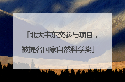 北大韦东奕参与项目，被提名国家自然科学奖