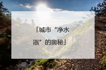 城市“净水器”的奥秘