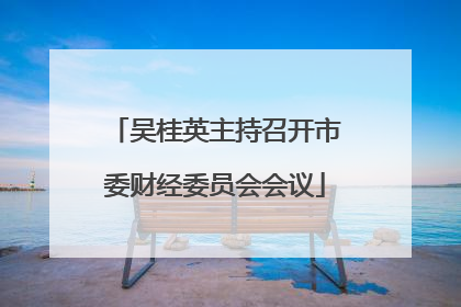 吴桂英主持召开市委财经委员会会议