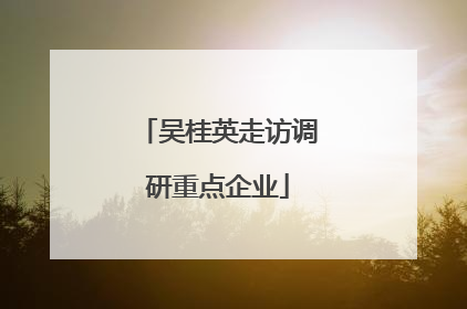 吴桂英走访调研重点企业