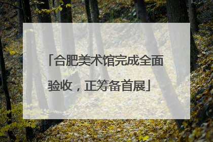 合肥美术馆完成全面验收，正筹备首展