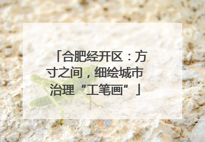 合肥经开区：方寸之间，细绘城市治理“工笔画”