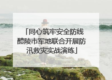 同心筑牢安全防线 醴陵市军地联合开展防汛救灾实战演练