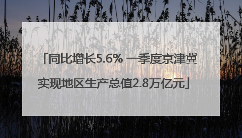 同比增长5.6% 一季度京津冀实现地区生产总值2.8万亿元