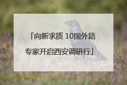向新求质 10国外籍专家开启西安调研行