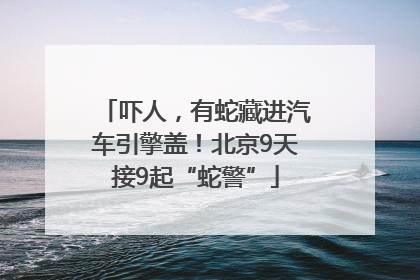 吓人，有蛇藏进汽车引擎盖！北京9天接9起“蛇警”