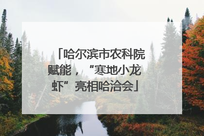 哈尔滨市农科院赋能，“寒地小龙虾”亮相哈洽会