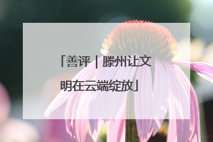 善评｜滕州让文明在云端绽放
