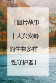 图片故事｜大兴安岭的生物多样性守护者