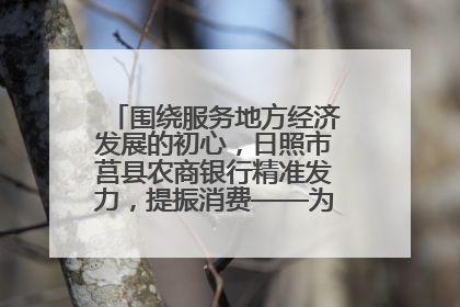 围绕服务地方经济发展的初心，日照市莒县农商银行精准发力，提振消费——为文旅注入金融动能