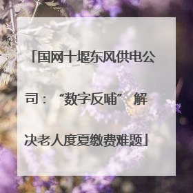 国网十堰东风供电公司：“数字反哺” 解决老人度夏缴费难题