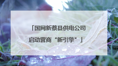国网新蔡县供电公司启动营商“新引擎”