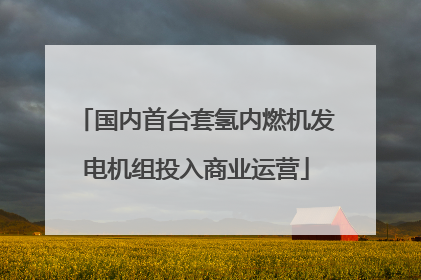 国内首台套氢内燃机发电机组投入商业运营