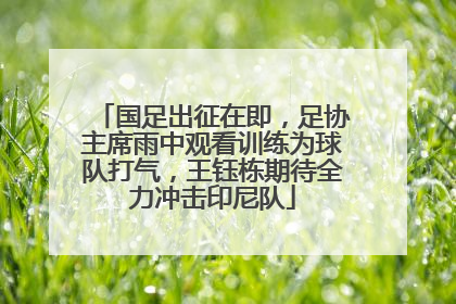 国足出征在即，足协主席雨中观看训练为球队打气，王钰栋期待全力冲击印尼队