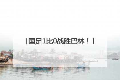 国足1比0战胜巴林！