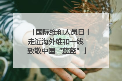 国际维和人员日丨走近海外维和一线 致敬中国“蓝盔”
