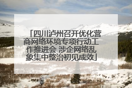 四川泸州召开优化营商网络环境专项行动工作推进会 涉企网络乱象集中整治初见成效
