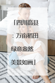 四川高县：万亩稻田绿意盎然 美景如画