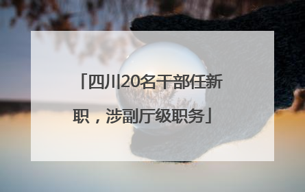 四川20名干部任新职，涉副厅级职务
