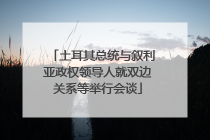 土耳其总统与叙利亚政权领导人就双边关系等举行会谈