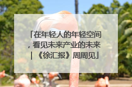 在年轻人的年轻空间，看见未来产业的未来｜《徐汇报》周周见