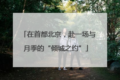 在首都北京，赴一场与月季的“倾城之约”