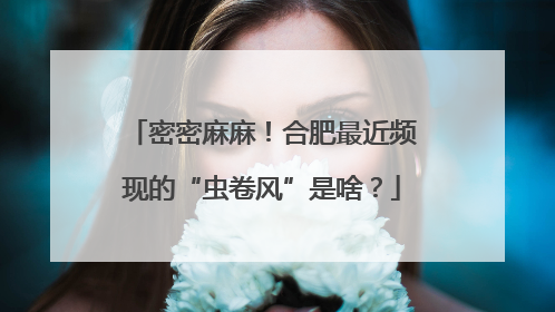 密密麻麻！合肥最近频现的“虫卷风”是啥？