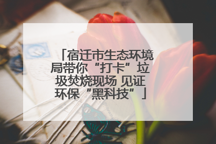 宿迁市生态环境局带你“打卡”垃圾焚烧现场 见证环保“黑科技”